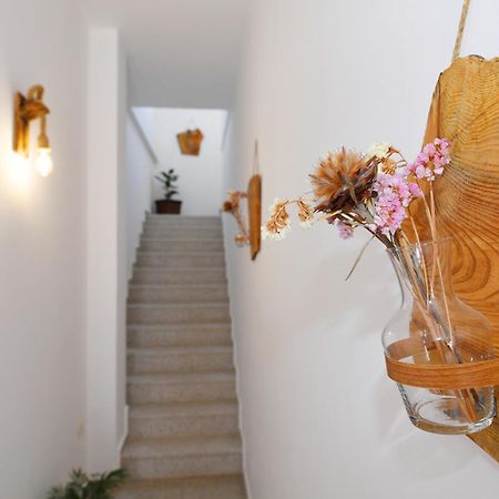 City Nest Shkodër Esterno foto